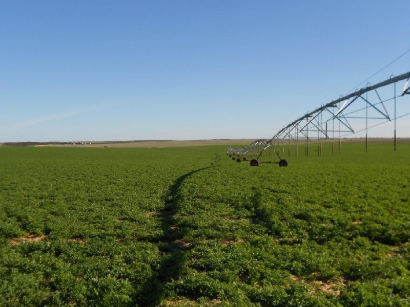 1179 Ngarkat Highway, Pinnaroo SA 5304