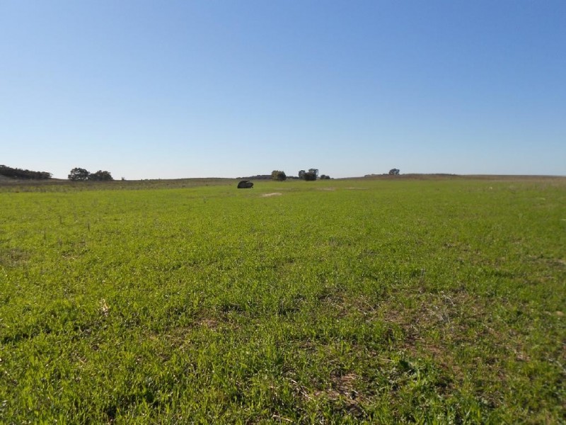 1179 Ngarkat Highway, Pinnaroo SA 5304