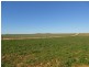 1179 Ngarkat Highway, Pinnaroo SA 5304