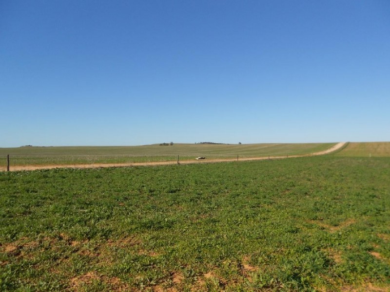 1179 Ngarkat Highway, Pinnaroo SA 5304