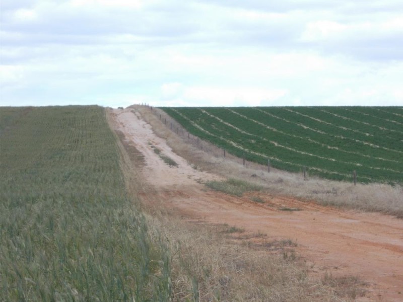 1179 Ngarkat Highway, Pinnaroo SA 5304
