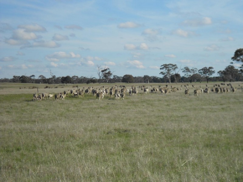 1177 My Mi Mi Road, Bangham SA 5268