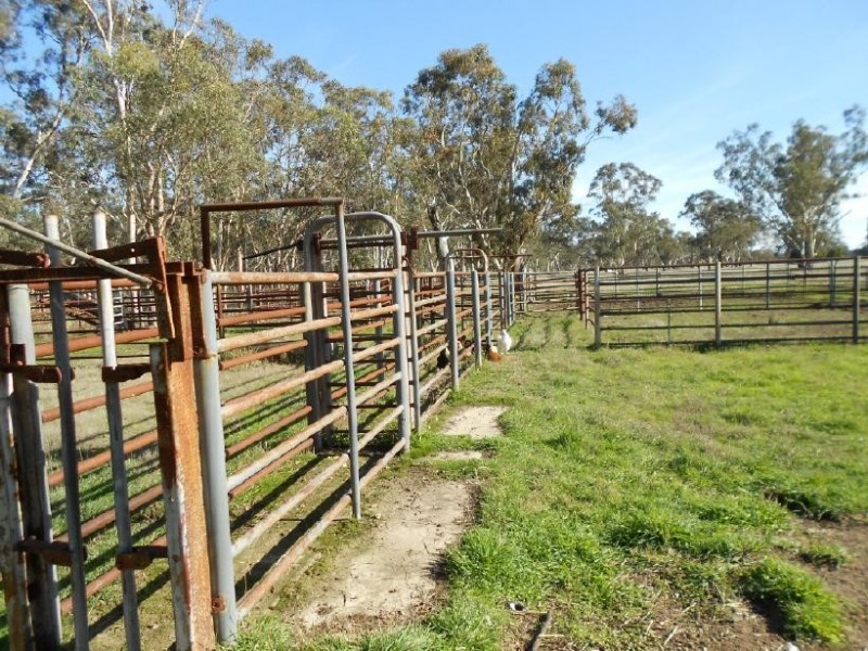 1177 My Mi Mi Road, Bangham SA 5268