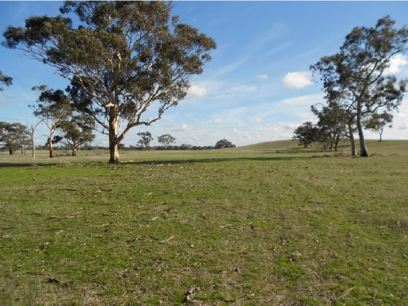 Proposed Lot 2 My Mi Mi Road, Frances SA 5262