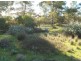 Lot 22 Peake Terrace, Parrakie SA 5301