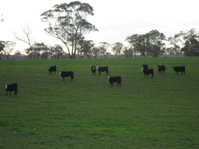 1760 Cadgee Road, Naracoorte SA 5271