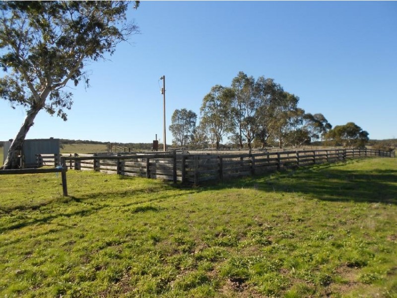 Sec 96, 60, 20 Ol Stone Tank Road, Mundulla SA 5270