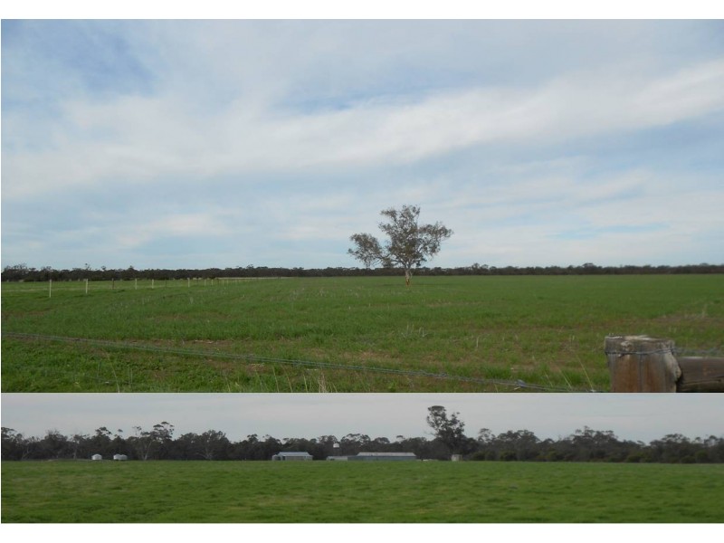 42  (Lot 100) Canal Rd Lowan VAle, Bordertown SA 5268