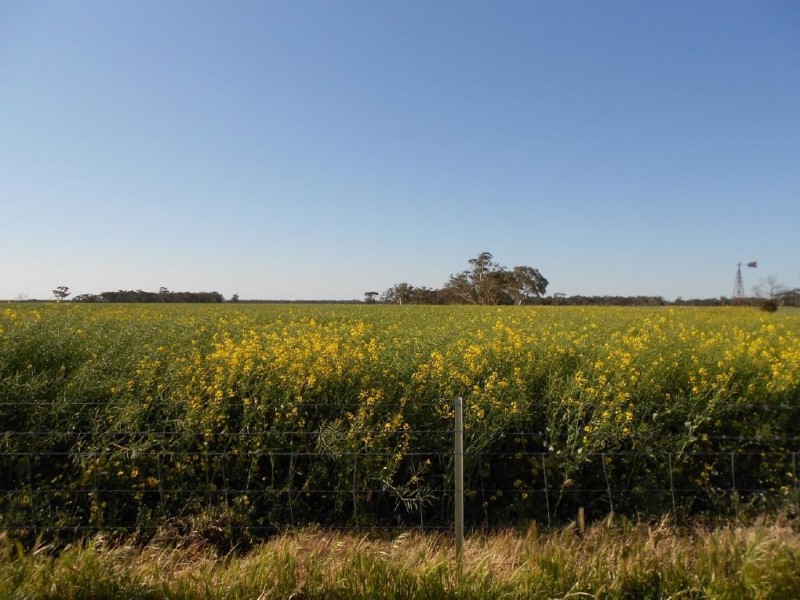 42  (Lot 100) Canal Rd Lowan VAle, Bordertown SA 5268