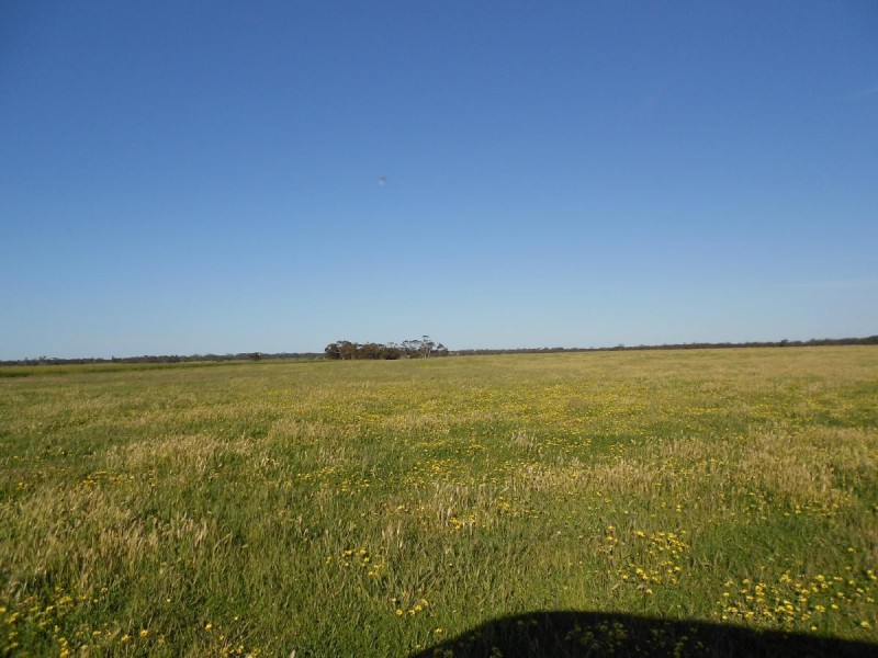 42  (Lot 100) Canal Rd Lowan VAle, Bordertown SA 5268