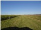42  (Lot 100) Canal Rd Lowan VAle, Bordertown SA 5268
