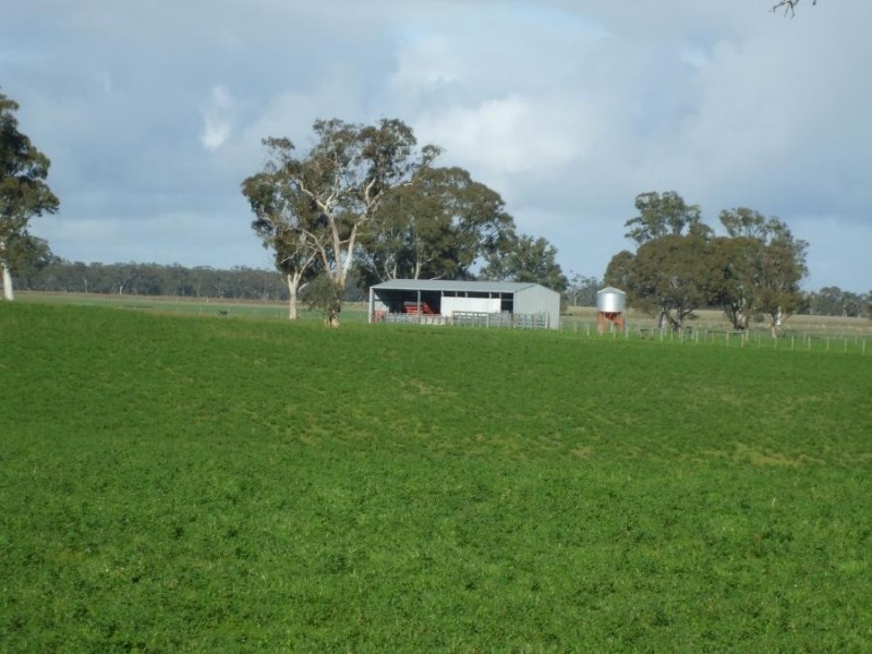 Sec 446 Off Cadgee Road, Naracoorte SA 5271