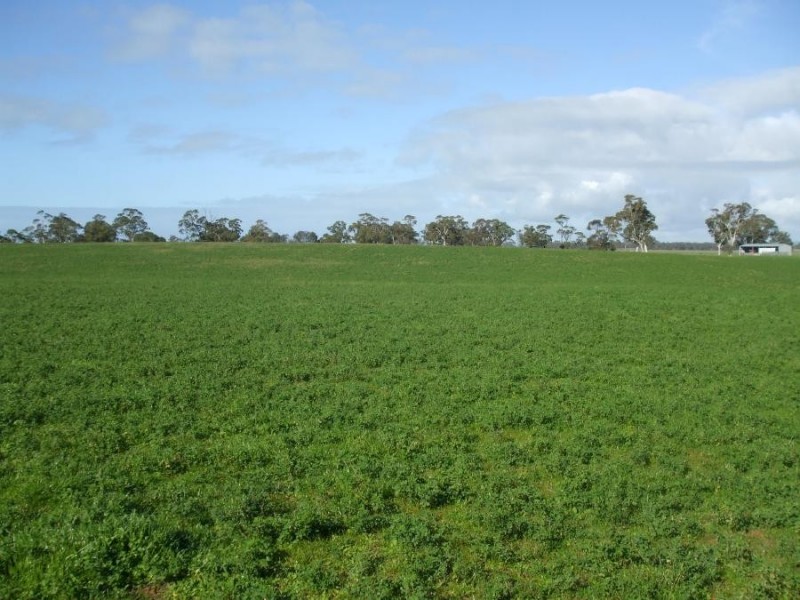 Sec 446 Off Cadgee Road, Naracoorte SA 5271