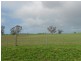 93/94 Bordertown-Naracoorte Road, Padthaway SA 5271