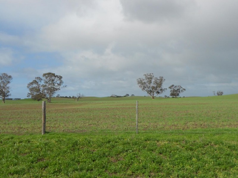 93/94 Bordertown-Naracoorte Road, Padthaway SA 5271