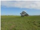 93/94 Bordertown-Naracoorte Road, Padthaway SA 5271