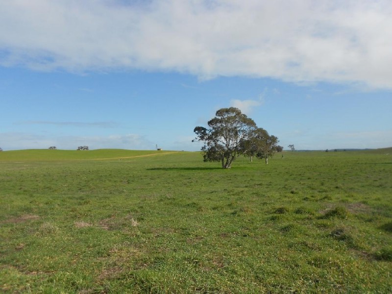 93/94 Bordertown-Naracoorte Road, Padthaway SA 5271