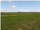 93/94 Bordertown-Naracoorte Road, Padthaway SA 5271