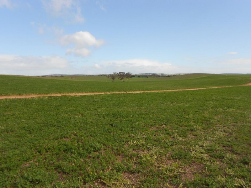 93/94 Bordertown-Naracoorte Road, Padthaway SA 5271