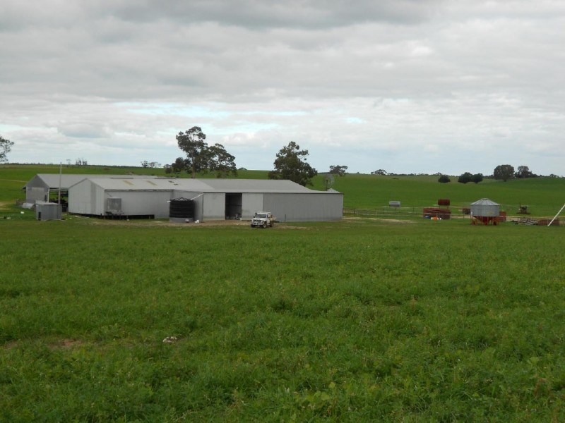 93/94 Bordertown-Naracoorte Road, Padthaway SA 5271