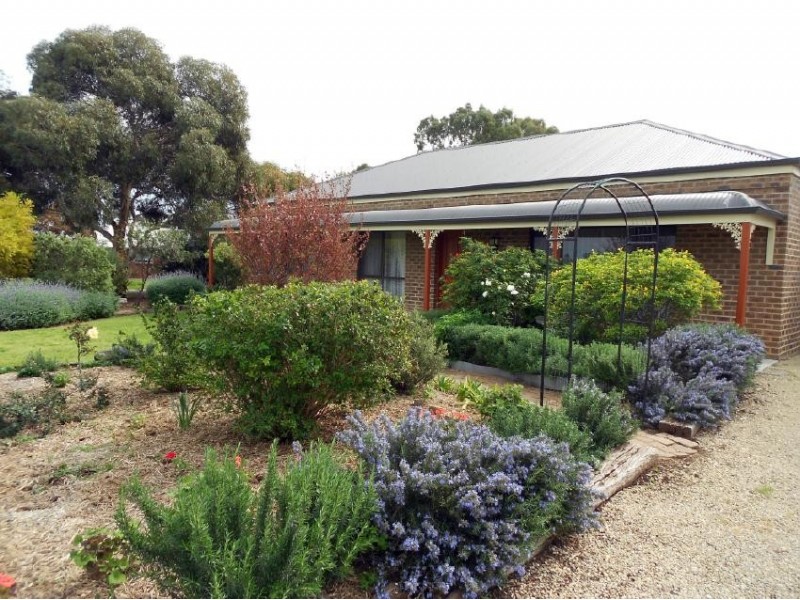 203 South Avenue, Bordertown SA 5268