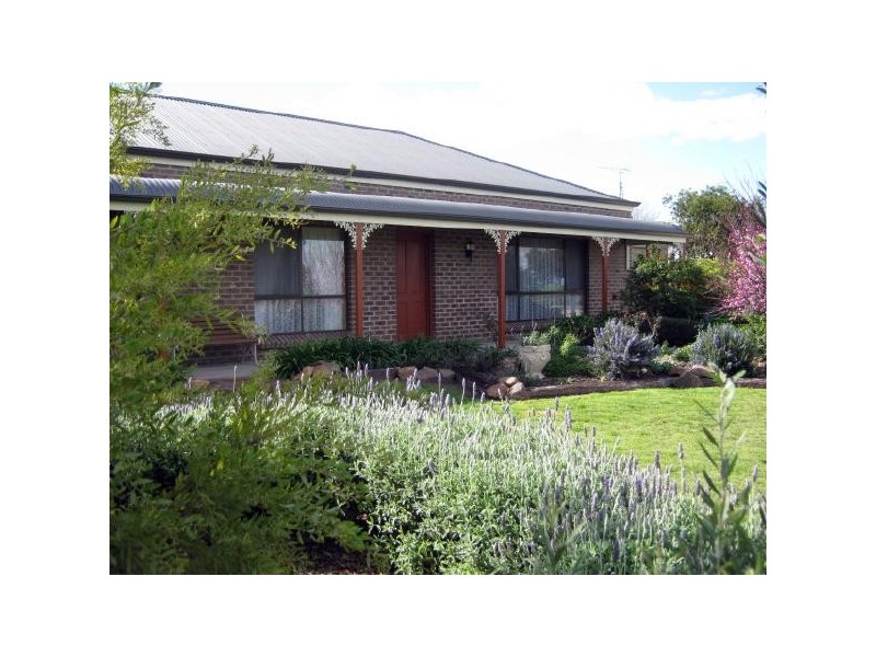 203 South Avenue, Bordertown SA 5268