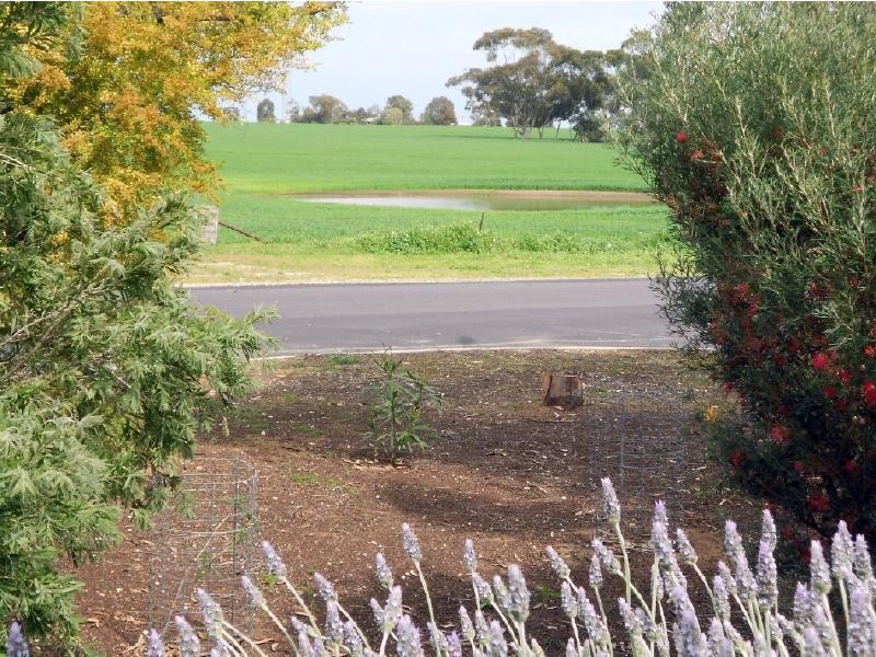 203 South Avenue, Bordertown SA 5268