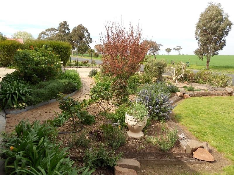 203 South Avenue, Bordertown SA 5268