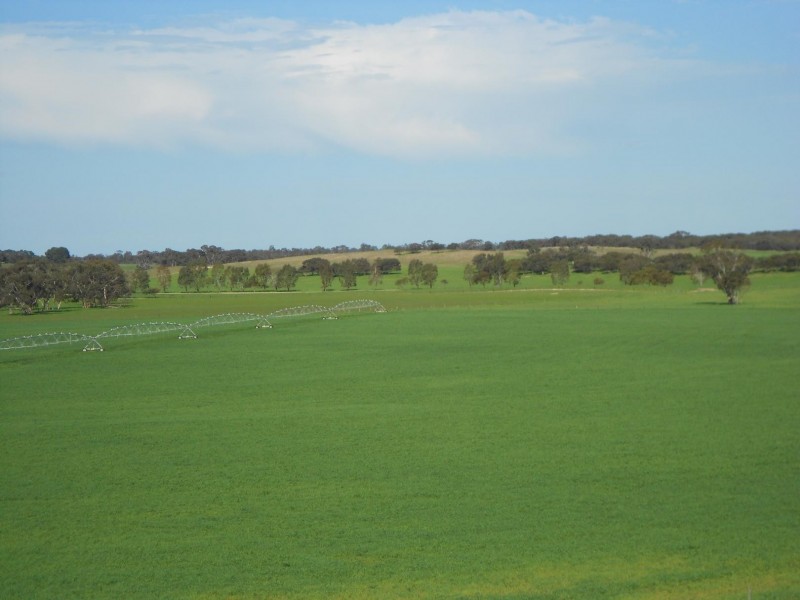 2134 Naracoorte Road, Bordertown SA 5268