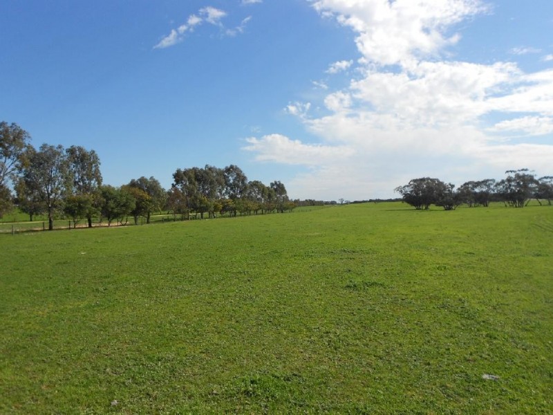 2134 Naracoorte Road, Bordertown SA 5268