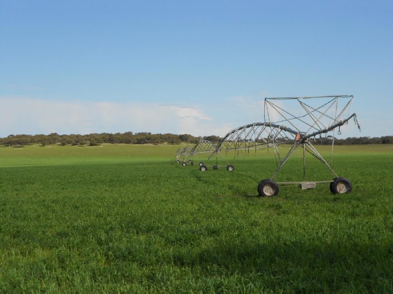 2134 Naracoorte Road, Bordertown SA 5268