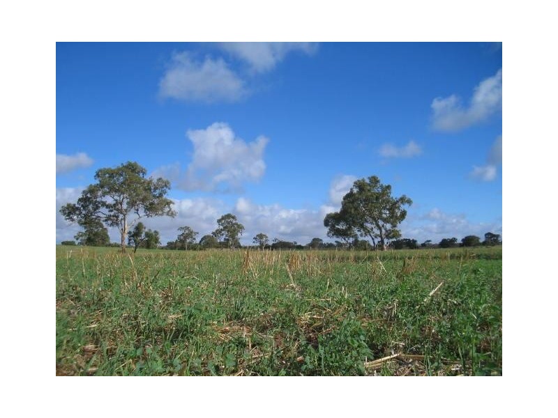 2134 Naracoorte Road, Bordertown SA 5268