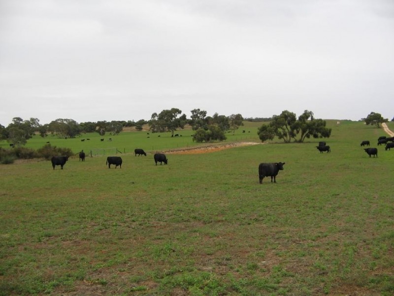 2134 Naracoorte Road, Bordertown SA 5268