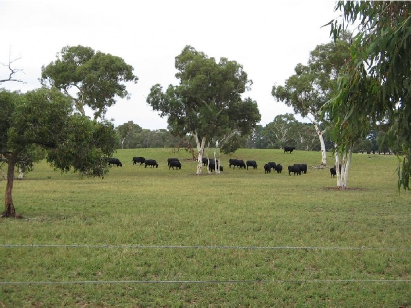 2134 Naracoorte Road, Bordertown SA 5268