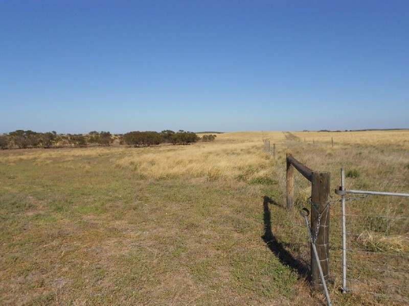 1526 Parrakie South Road, Parrakie SA 5301