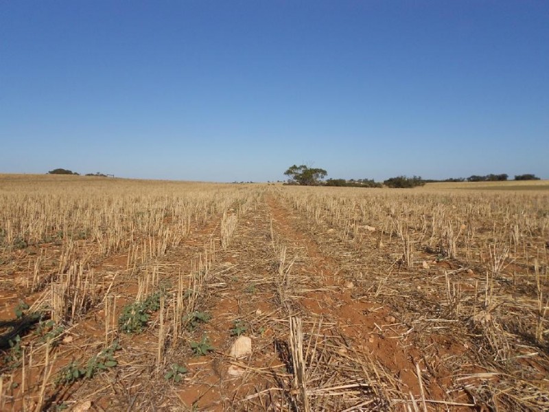 1526 Parrakie South Road, Parrakie SA 5301