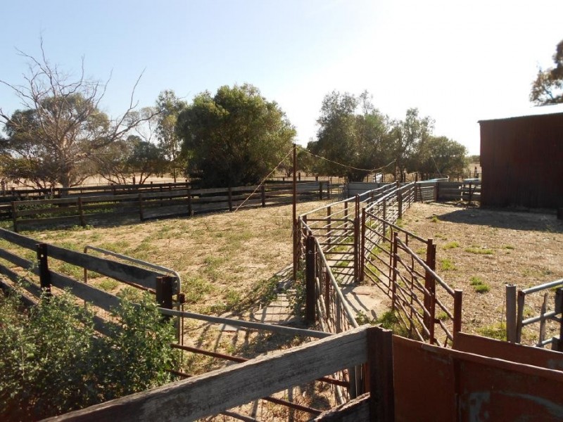 1526 Parrakie South Road, Parrakie SA 5301