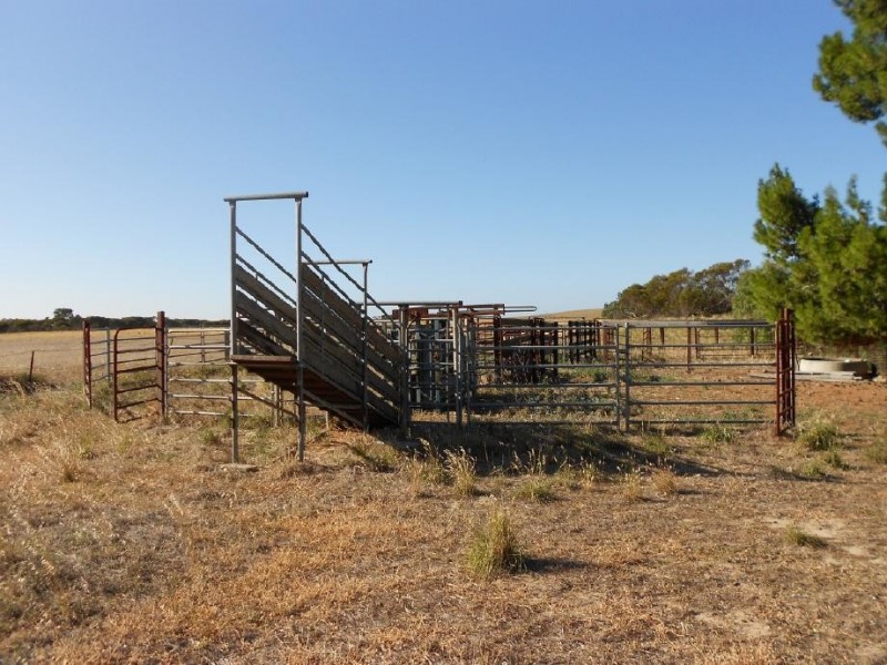 1526 Parrakie South Road, Parrakie SA 5301