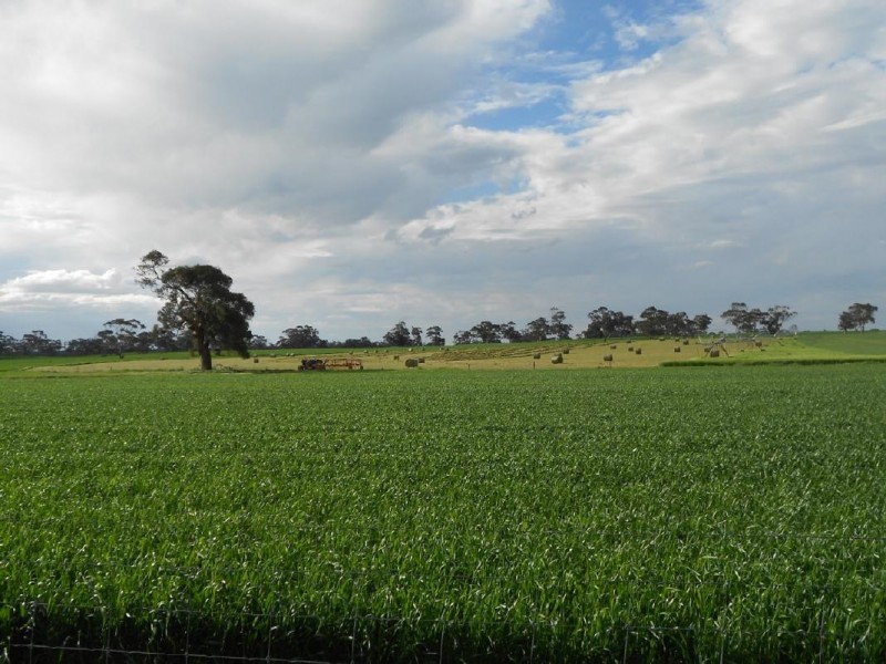 10765 Ngarkat Hwy, Bordertown SA 5268