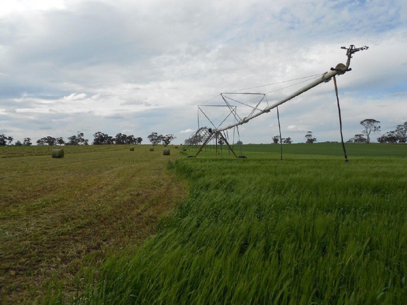 10765 Ngarkat Hwy, Bordertown SA 5268