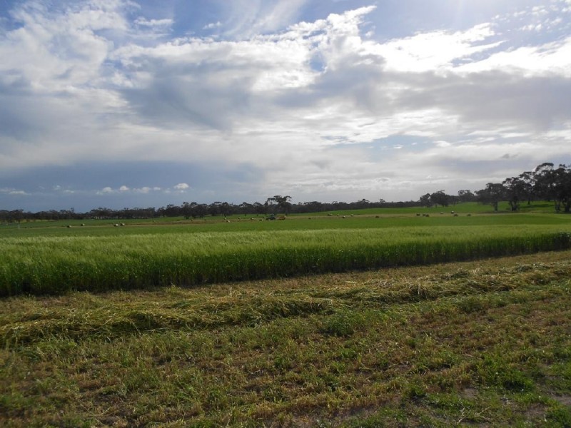 10765 Ngarkat Hwy, Bordertown SA 5268