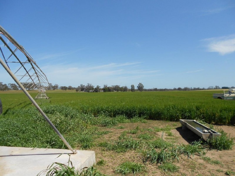 10765 Ngarkat Hwy, Bordertown SA 5268