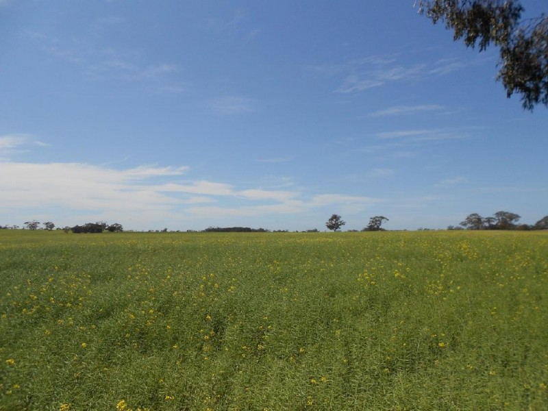 10765 Ngarkat Hwy, Bordertown SA 5268