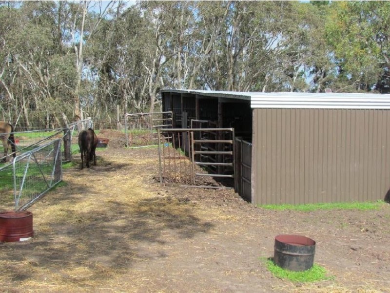 91 Leach’s Road, Bordertown SA 5268