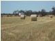 SECTION 197 Cnr Frances and Wiese Rd, Bordertown SA 5268
