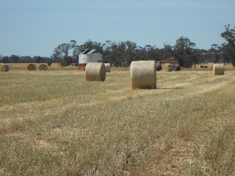 SECTION 197 Cnr Frances and Wiese Rd, Bordertown SA 5268