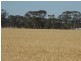 SECTION 197 Cnr Frances and Wiese Rd, Bordertown SA 5268