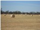 SECTION 197 Cnr Frances and Wiese Rd, Bordertown SA 5268