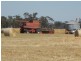 SECTION 197 Cnr Frances and Wiese Rd, Bordertown SA 5268