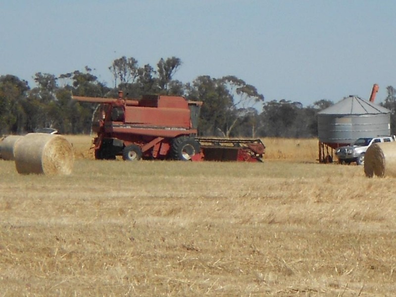 SECTION 197 Cnr Frances and Wiese Rd, Bordertown SA 5268